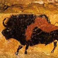 Lascaux Cave Paintings Layout Meaning Photographs